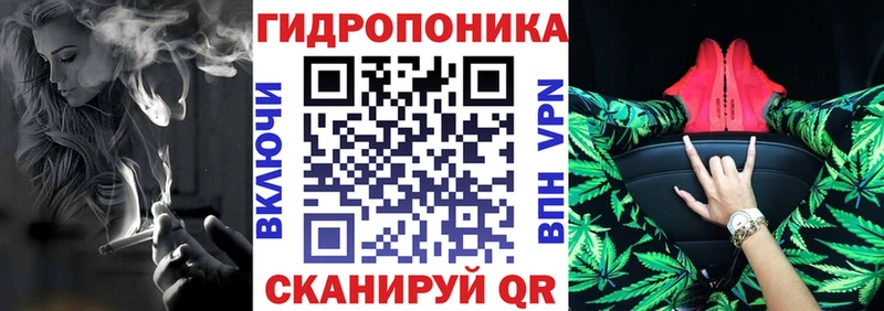 Купить наркоту Озёрск Гашиш  Кокаин  Псилоцибиновые грибы  Меф 