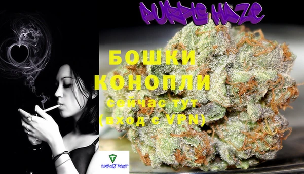 ГАЛЛЮЦИНОГЕННЫЕ ГРИБЫ Покачи